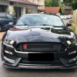 Ford Mustang Fastback+5.0+Ti-VCT+GT+Aut. full